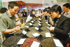 制定茶葉防偽標(biāo)簽維護(hù)企業(yè)品牌聲譽(yù)
